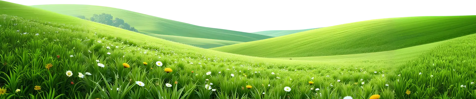 Background Hill