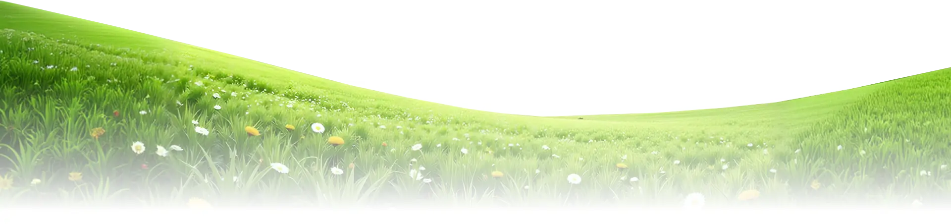 foreground grass